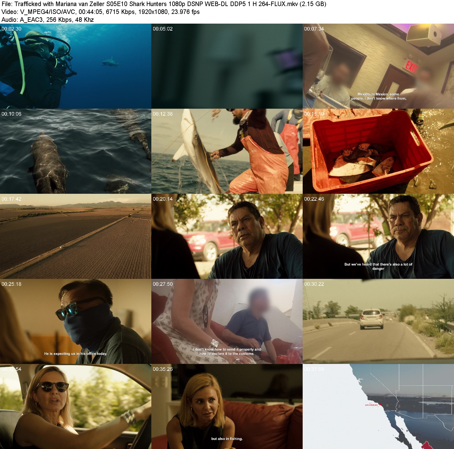 [Image: uc5cql1muw16.jpg]