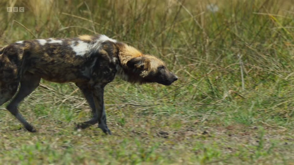 [Image: 6glbr702dbrn.png]