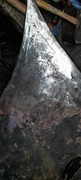 20240518-200856.jpg