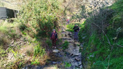 IMG-20260117-135140