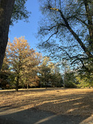 IMG-6346
