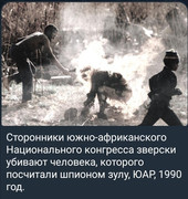 https://i.postimg.cc/1n2ddWvn/photo-2026-08-06-02-14-50.jpg