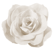 Winter-White-Elements-148