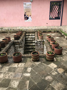 IMG-8232