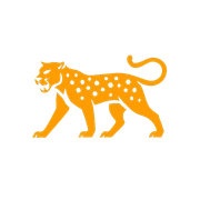 Electus Systems Logo