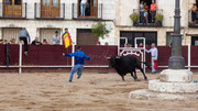 IMG-0033
