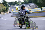 DSC0334