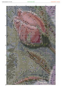 2890426-crosti-ru-color-15