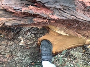 C71C4379-A375-43A8-8170-5282B2B24F1F