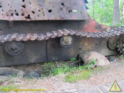 IMG-6100