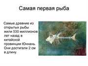 https://i.postimg.cc/1n8dBdMg/slide-1.jpg