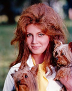 gayle-hunnicutt-a47