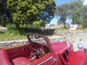 P1060429.jpg