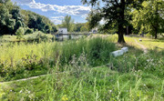 IMG-3163