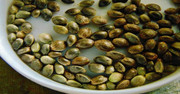 cannabis plants