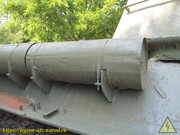 IMG-5556