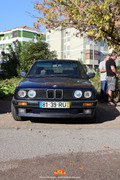IMG-7377