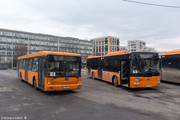 IMG-5952