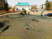 DSCN3204