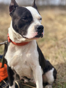 IMG_20230415_233155_871