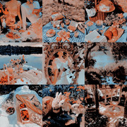 C5529092-2330-4070-983B-9893A4055E0B