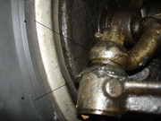 DSC04658-1.jpg