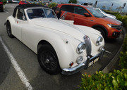 DSCN0558.jpg