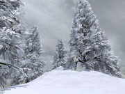 WINTER-LOVE-DBJ-PP-2