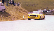Targa Florio (Part 5) 1970 - 1977 - Page 6 1973-TF-167-Litrico-Ferragine-007
