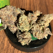 cannabis plants