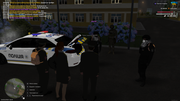 04-postac-vid-npu