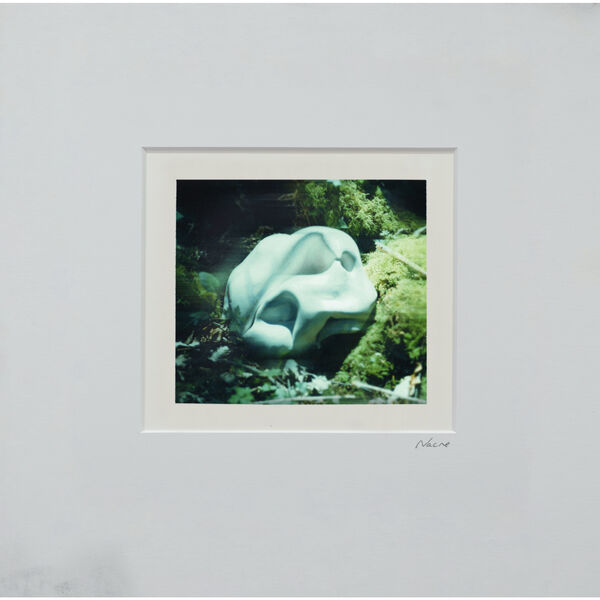 [Image: 1etpuw96xmu2.jpg]