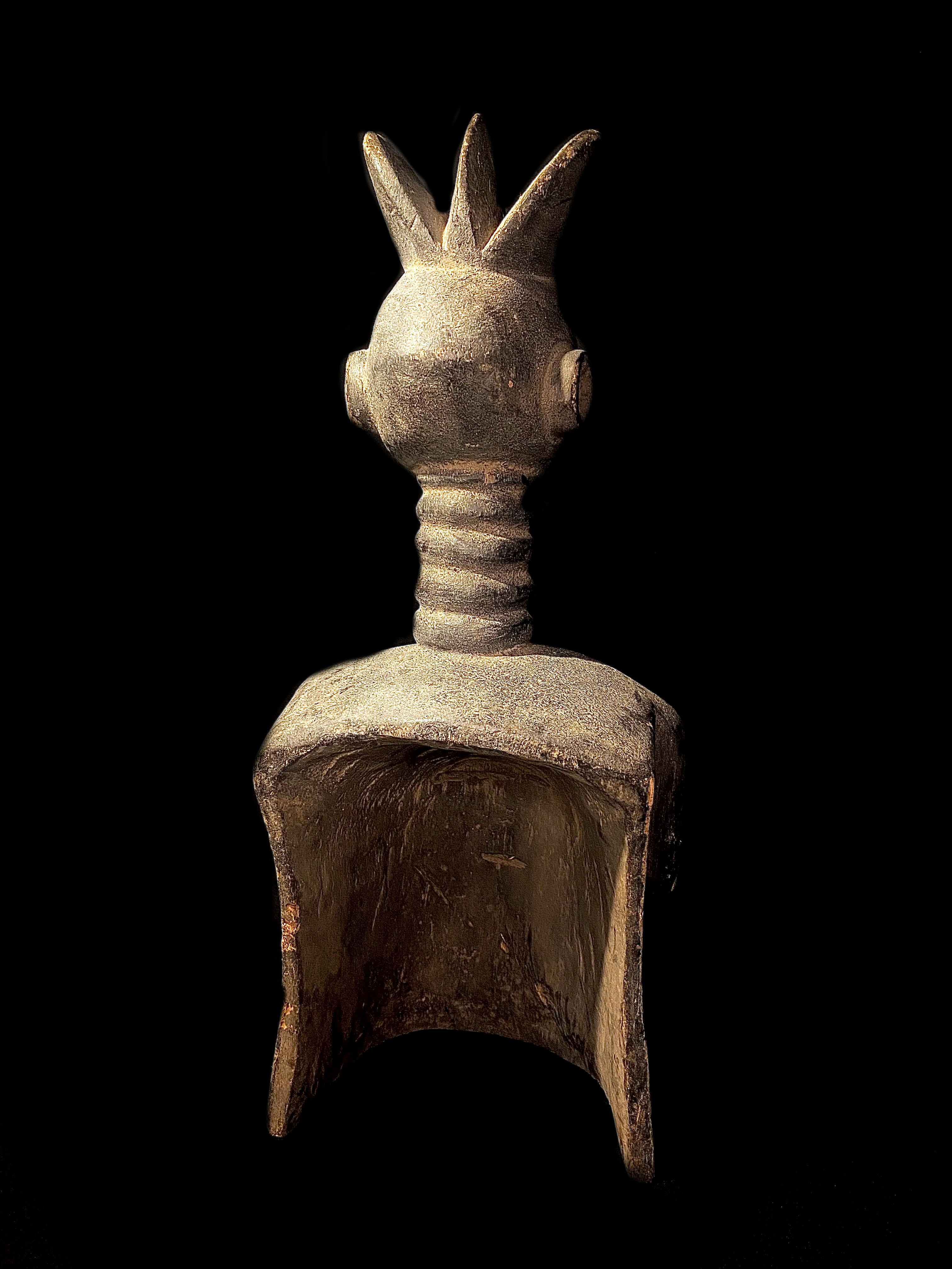 large image 5