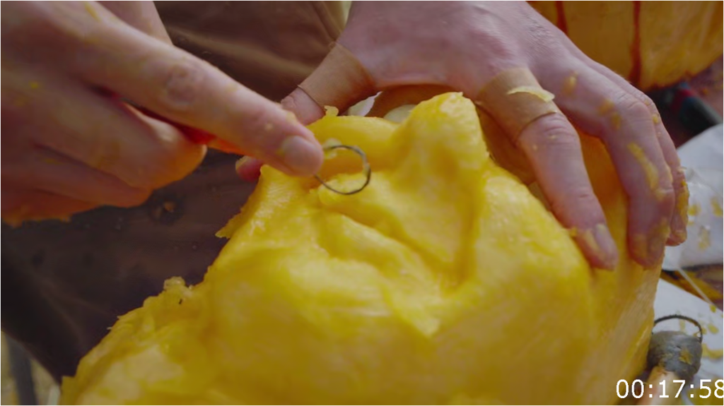 [Image: abh1sns4t65n.png]