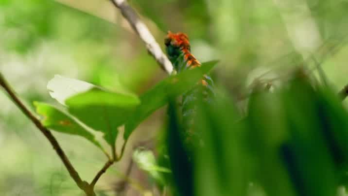 [Image: 3foeh8pqj4h1.jpg]