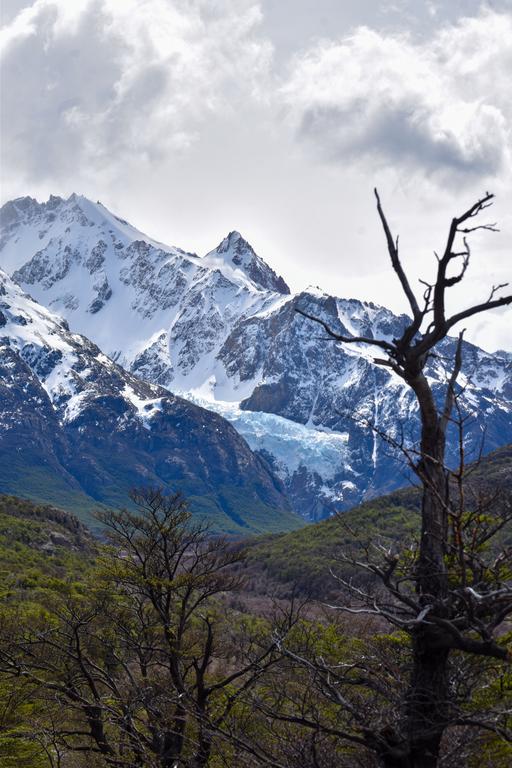 В джазе только девушки или аргентинско-бразильский калейдоскоп В джазе только девушки или аргентинско-бразильский калейдоскоп