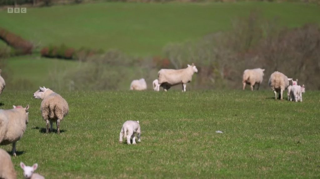 [Image: 0u2tkelwq5t2.jpg]