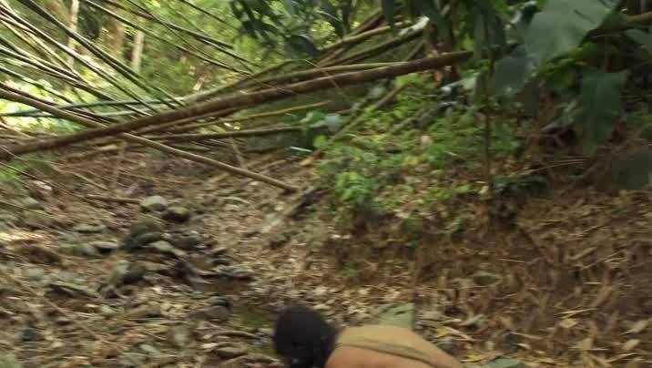 [Image: r4qd2sou8nq2.jpg]