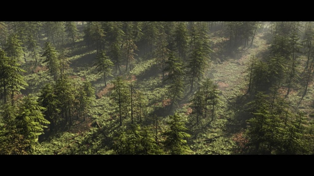 [Image: 31cyxy30osii.jpg]