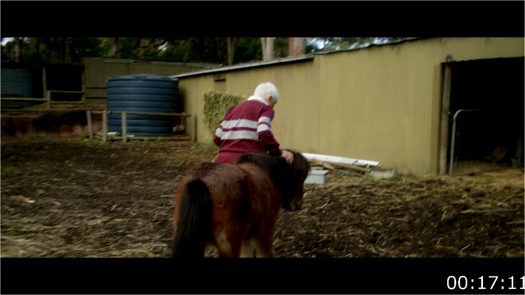 [Image: fo96bmqmx81q.png]