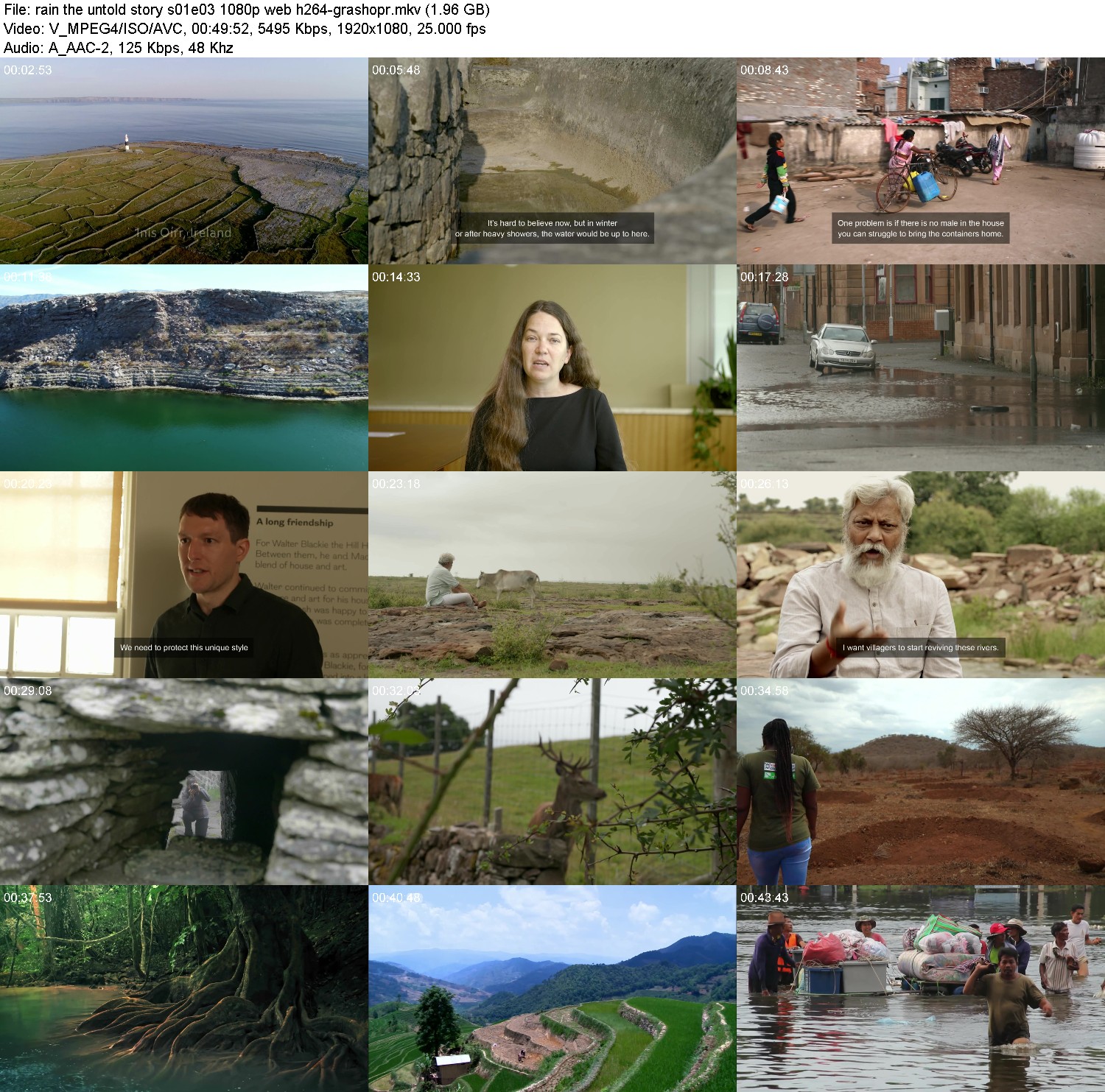 [Image: ivzco2a15yq7.jpg]