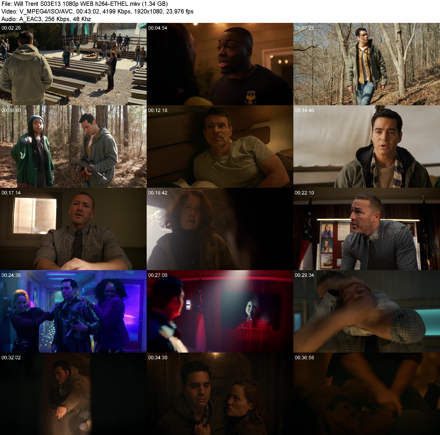 [Image: xz1k6eh3f2dl.jpg]