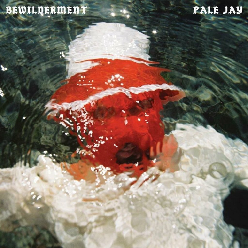 Pale Jay - Bewilderment (2023) Mp3 [320kbps]  94h04qzbmvhx