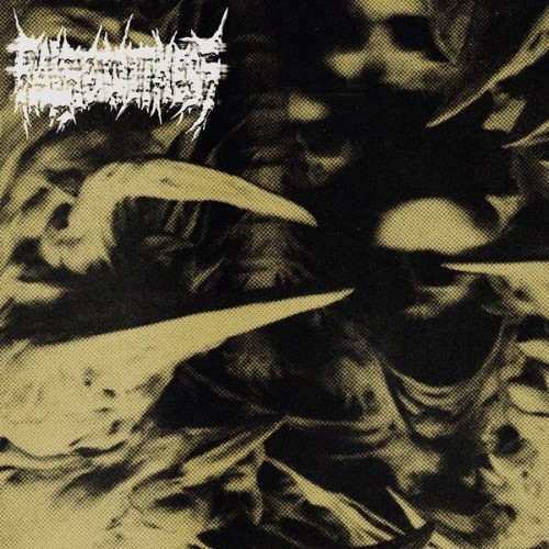 False Witness - Severed From Life (2026) FLAC
