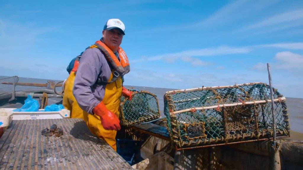 [Image: lvl8j9gjf5l7.jpg]