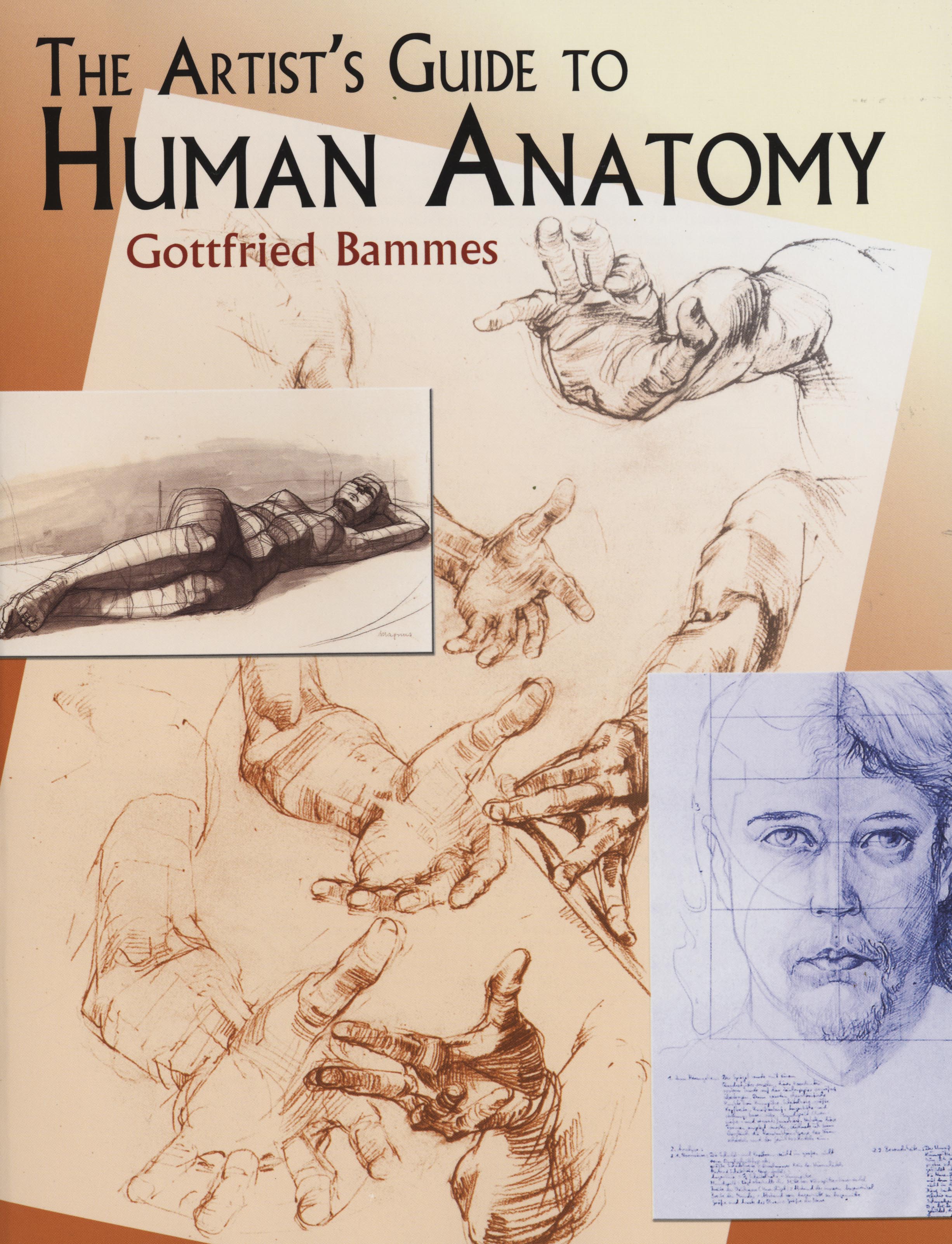 The Artist's Guide to Human Anatomy