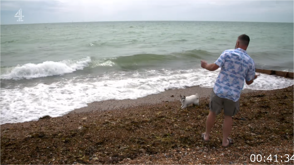 [Image: 52by6fw7teac.png]