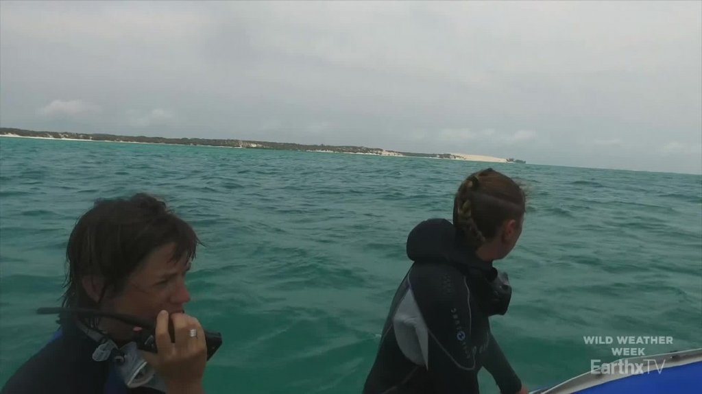 [Image: 3qol1nuuep93.jpg]