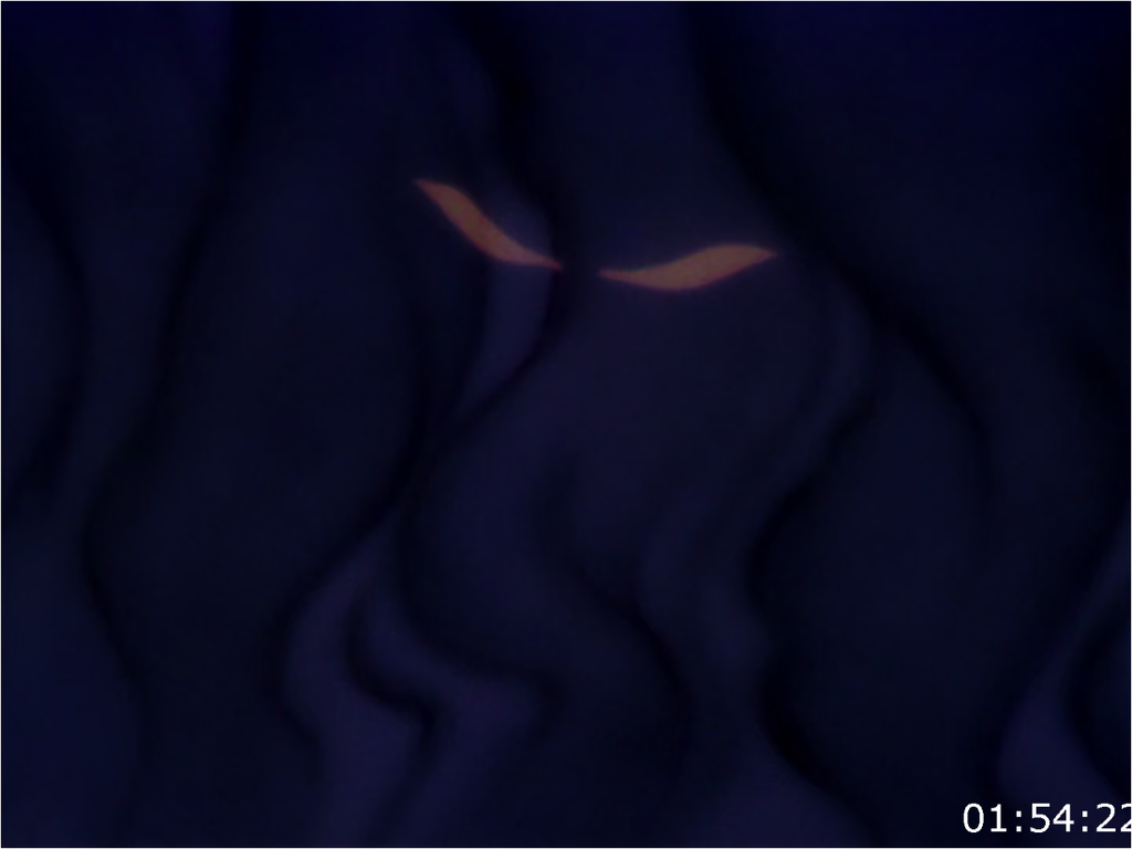 custlmj215c8.png