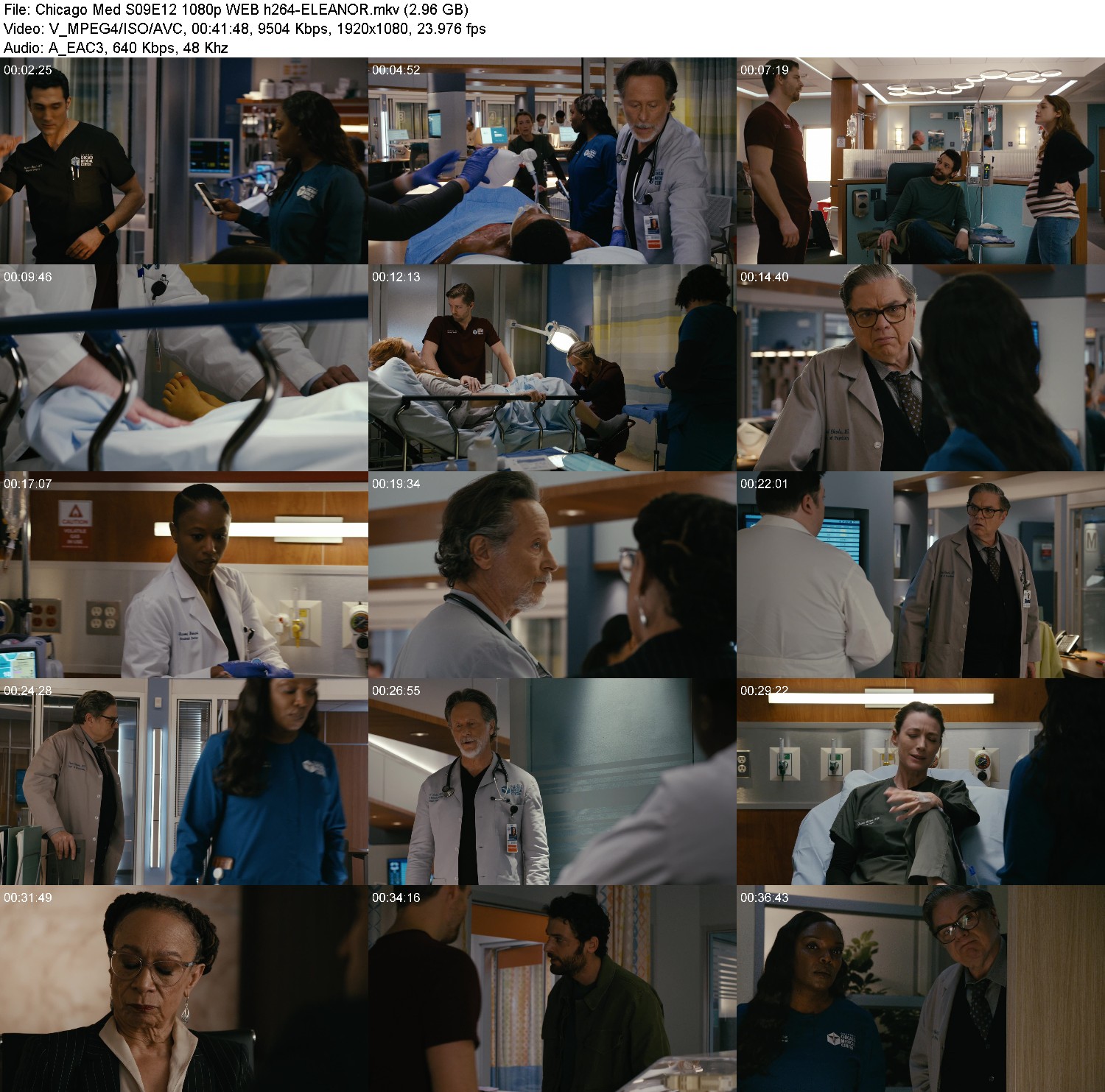 [Image: 4d4orwah7v5q.jpg]